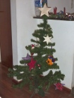 Unser Baum, 1,20 groß, Plastik, mit Schmuck, den mir Oma geschickt hat, inzwischen ist er auch noch etwas geschmückter :)